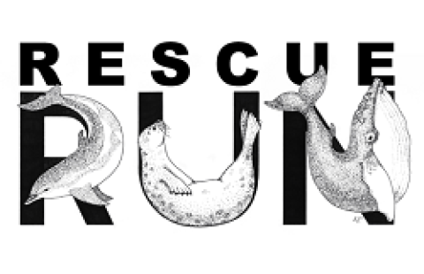 Rescue Run for the Marine Mammals