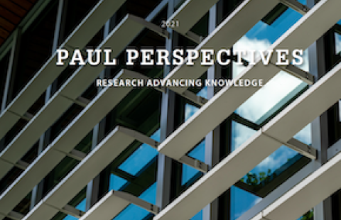 Paul Perspectives cover