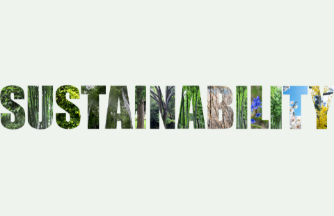 Sustainability Stock Image