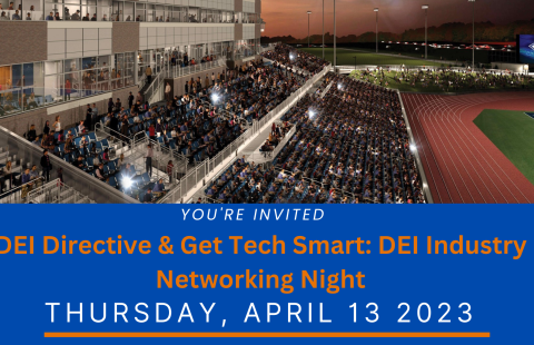 DEI Industry networking night