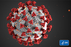 Coronavirus-19 CDC image