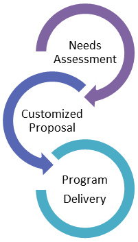 Custom program design process graphic