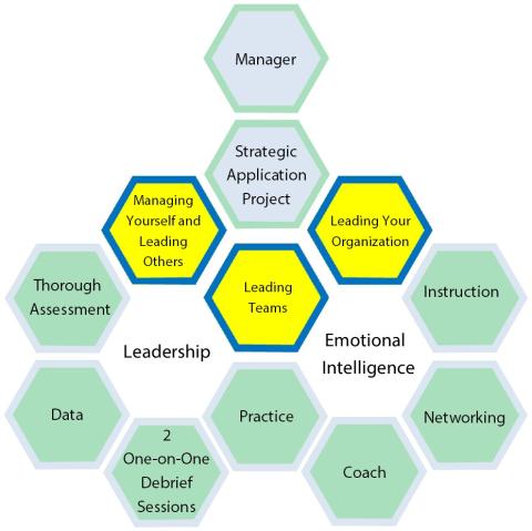 honeycomb organizational chart 