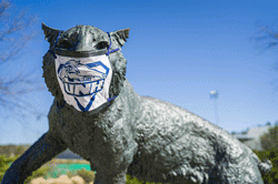 UNH Wildcat wearing face mask