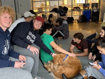 Peer advisors Paul college FIRE team-15-at-paws-and-relax