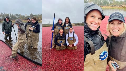 Photos of UNH trip to Ocean Spray cranberry bog