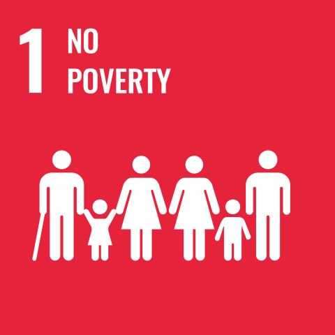icon of sustainability goal 1 no poverty