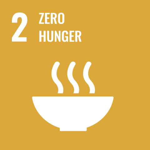 icon of sustainability goal 2 no hunger