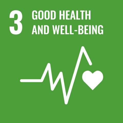 icon of sustainability goal 3 good health and well-being