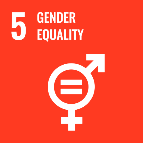 icon of sustainability goal 5 gender equality