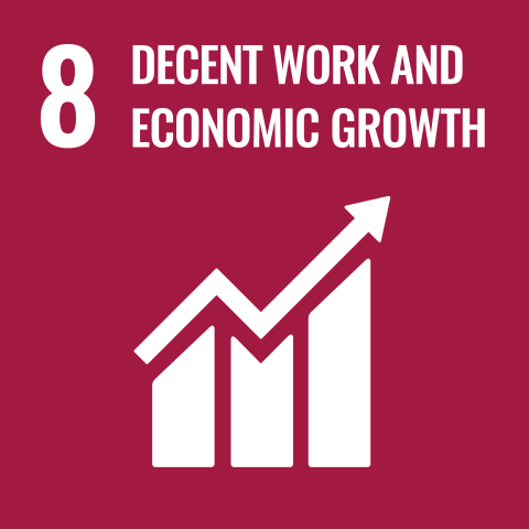 icon of sustainability goal 8 decent work and economic growth