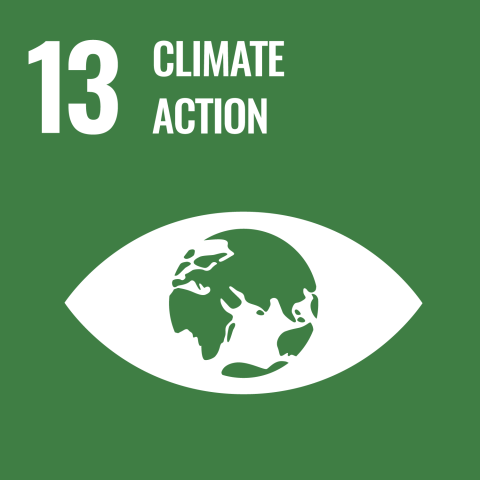 icon for sustainable goal 13 climate action