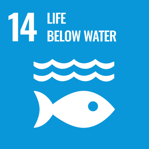 icon for sustainable goal 14 life below water