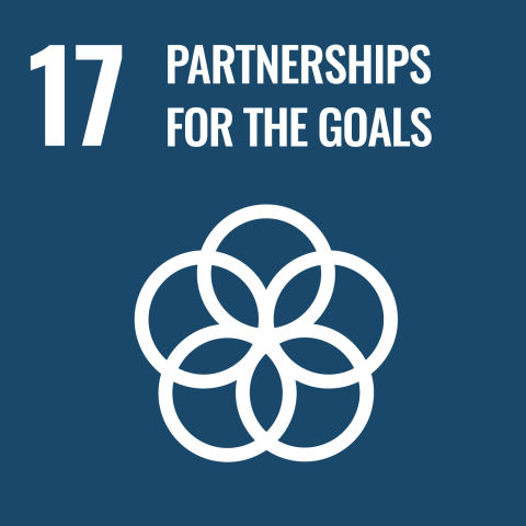 icon for sustainable goal 17 partnerships for the goals
