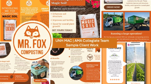 Mr. Fox marketing plan